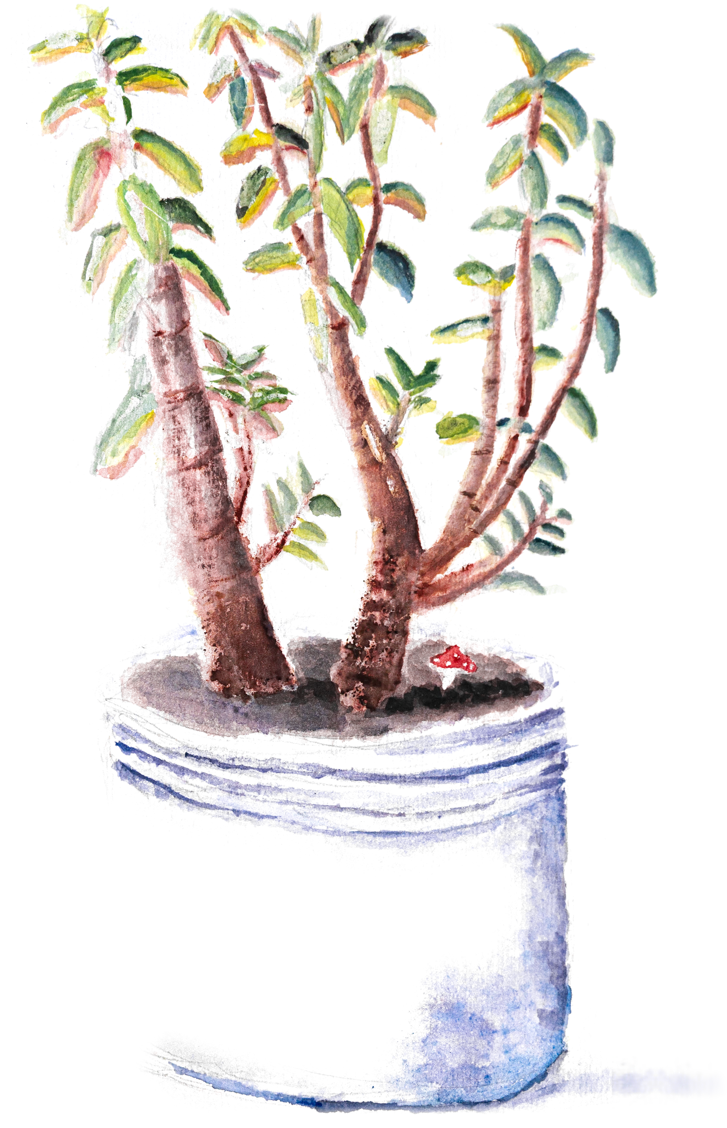 A watercolour painting of a potted plant
